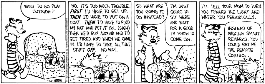 Calvin & Hobbes comic