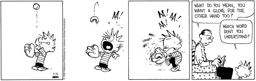 Calvin & Hobbes comic