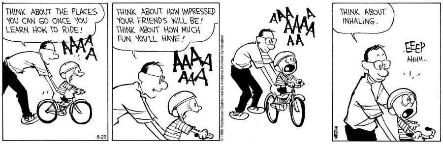 Calvin & Hobbes comic