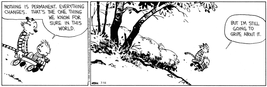Calvin & Hobbes comic