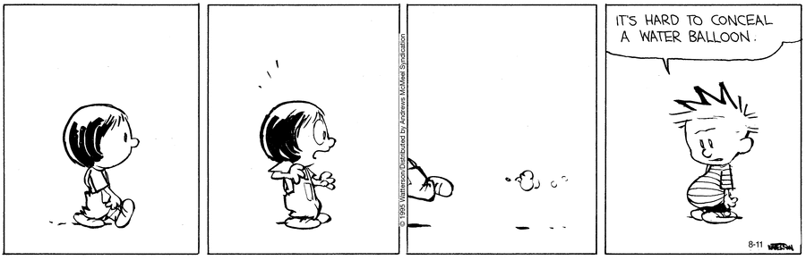 Calvin & Hobbes comic
