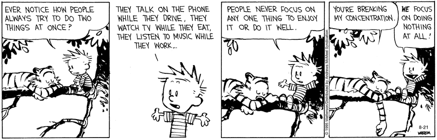 Calvin & Hobbes comic
