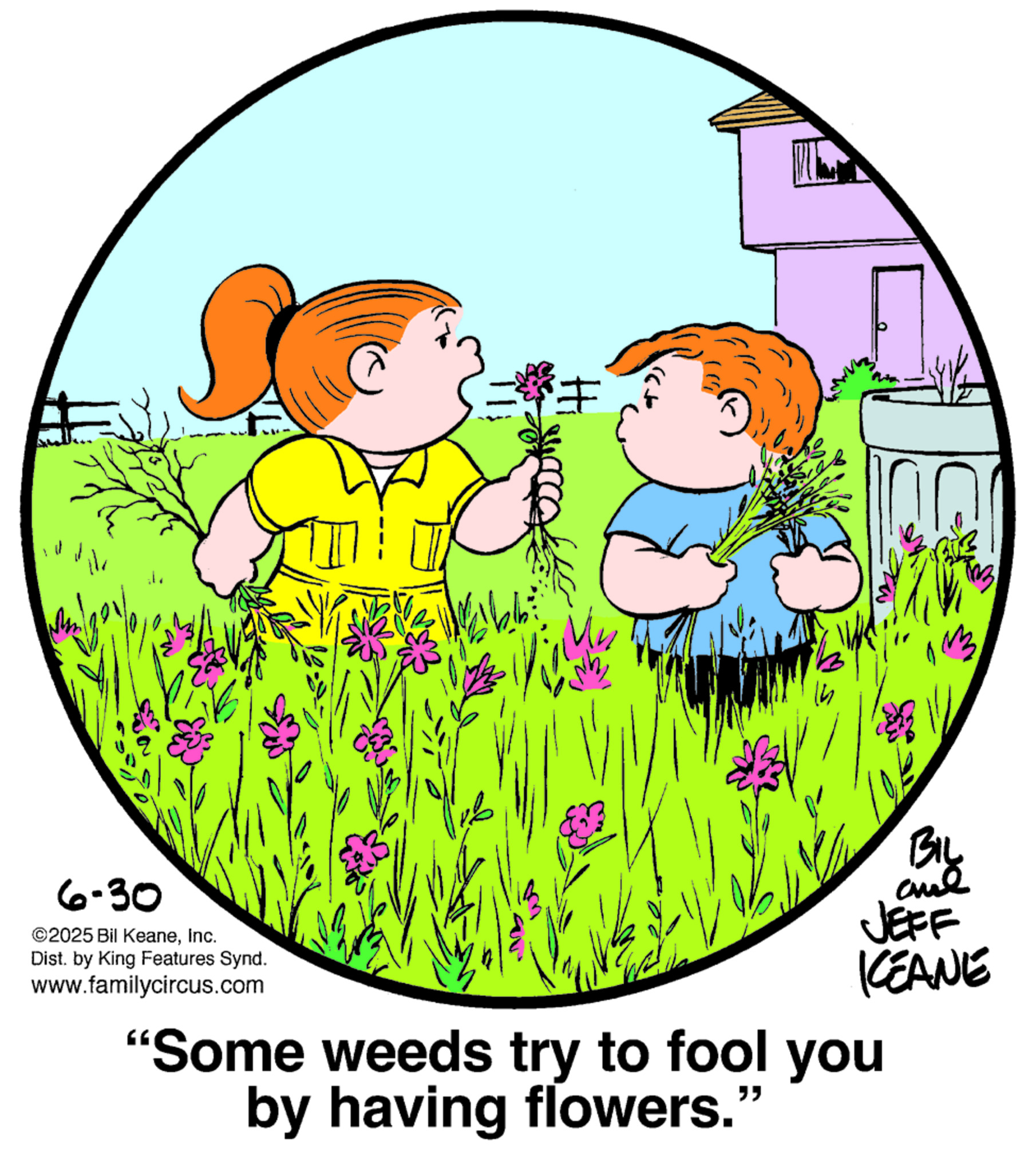 The Family Circus comic