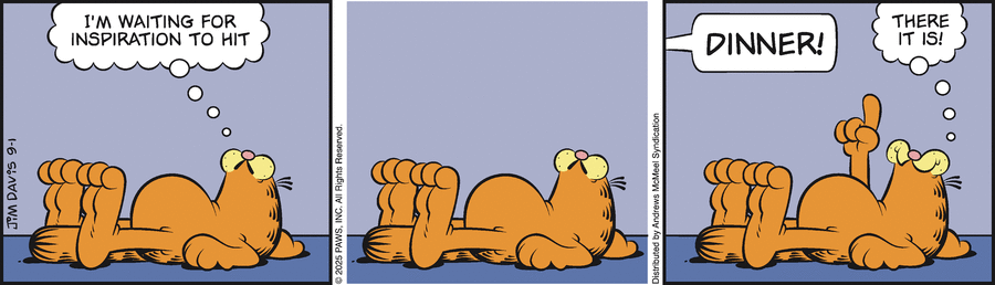 Garfield comic