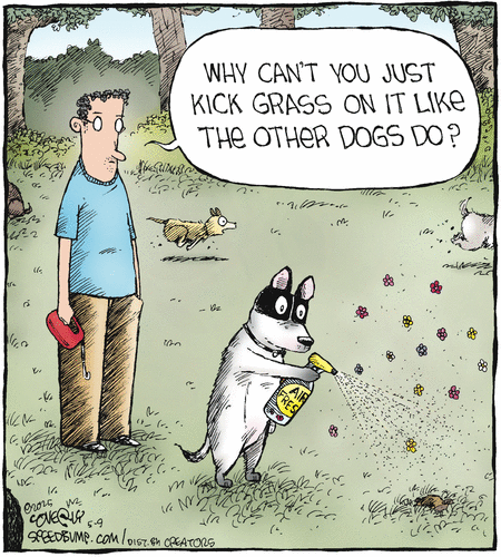Speed Bump comic