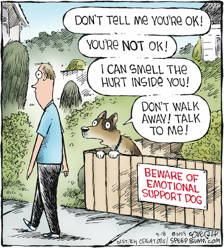 Speed Bump comic
