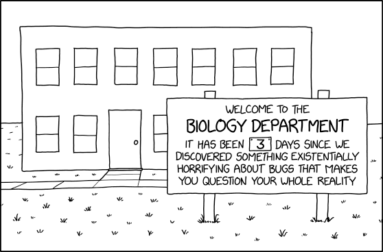 xkcd comic