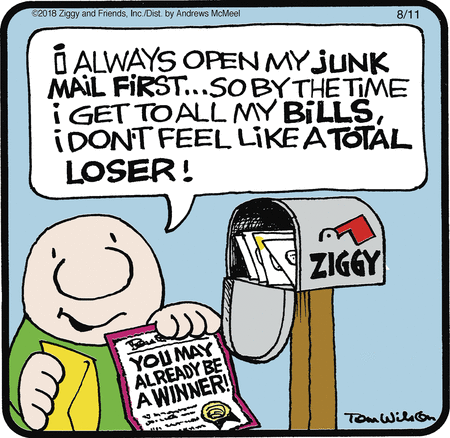 Ziggy comic