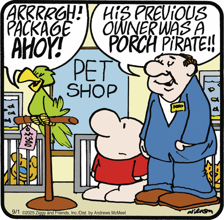 Ziggy comic