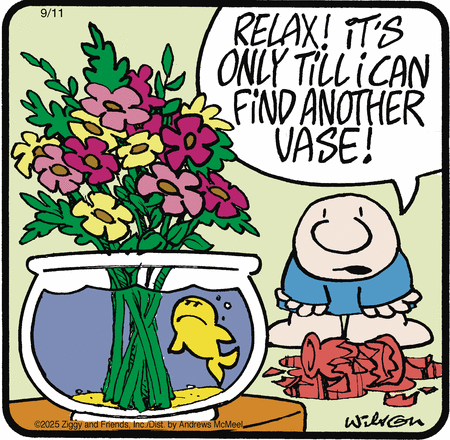 Ziggy comic