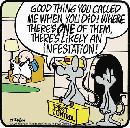 Ziggy comic